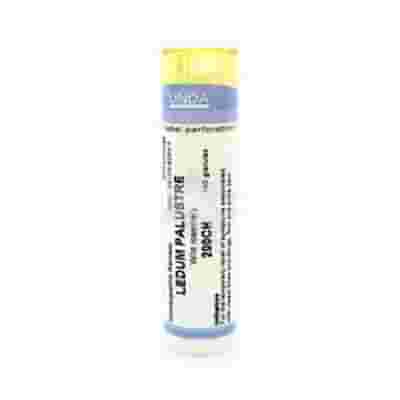 LEDUM PALUSTRE 200CH GLOBULI