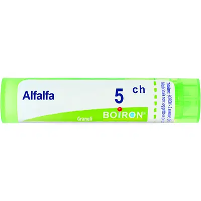 ALFALFA MEDICAGO 5CH GRANULI 4G ALFALFA MEDICAGO 5CH GRANULI 4G