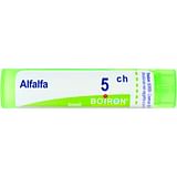 ALFALFA MEDICAGO 5CH GRANULI 4G