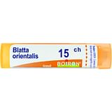 BLATTA ORIENTALIS 15CH GRANULI 4G