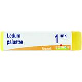 BOIRON LEDUM PALUSTRE MK GLOBULI