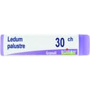 LEDUM PALUSTRE 30 CH GLOBULI 1G