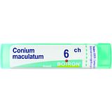CONIUM MACULATUM 6CH GRANULI 4G