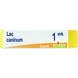 LAC CANINUM MK GLOBULI 1G
