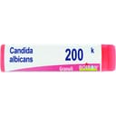 BOIRON CANDIDA ALBICANS 200K GLOBULI
