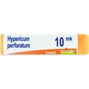 HYPERICUM PERFOR XMK GLOBULI 1G