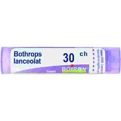 BOTHROPS LANCEOLATUS 30CH GRANULI 4G