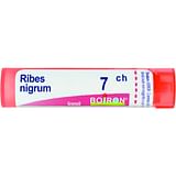 RIBES NIGRUM 7CH GRANULI 4G
