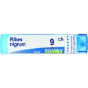RIBES NIGRUM 9CH GRANULI 4G