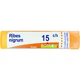 RIBES NIGRUM 15CH GRANULI 4G