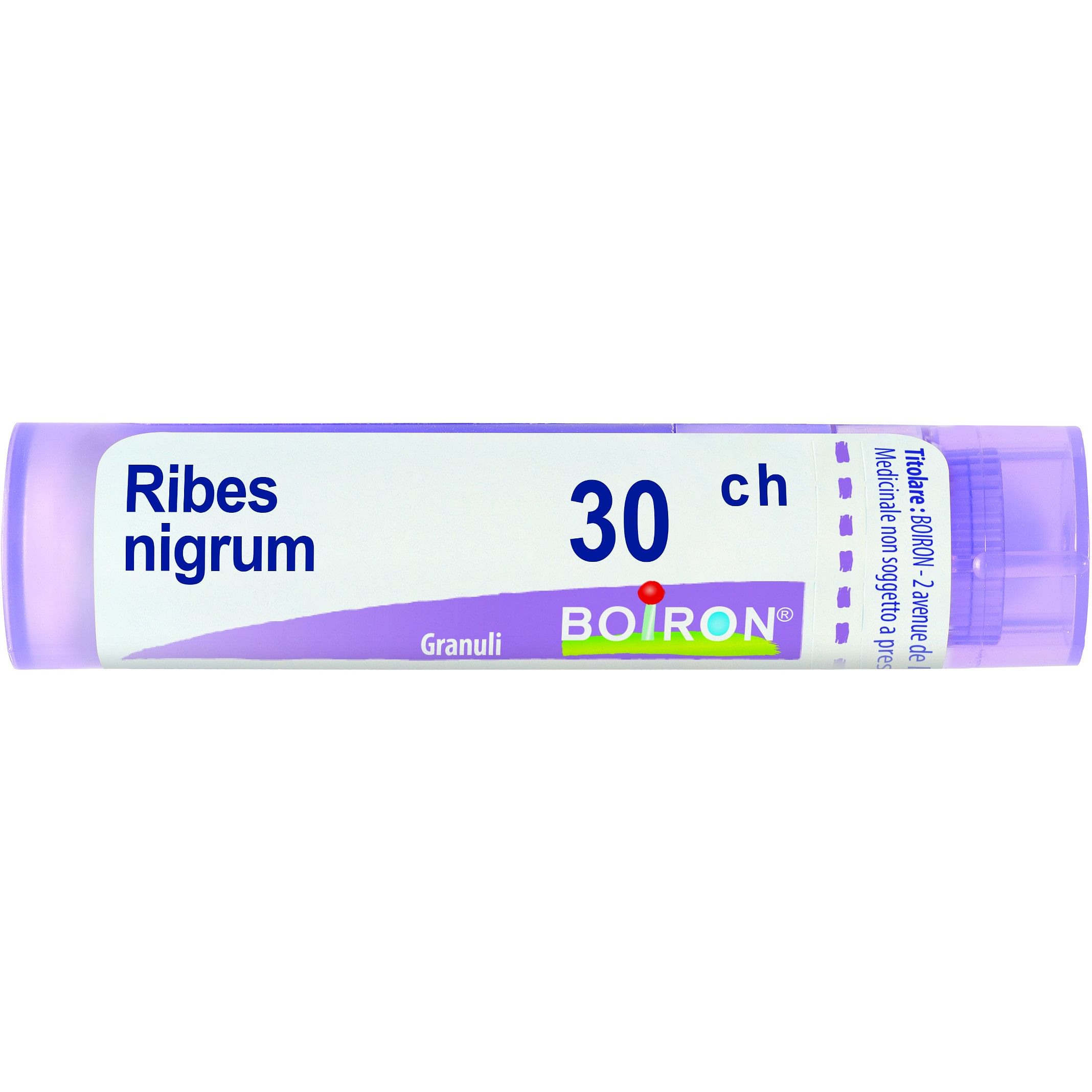 Ribes Nigrum 30 Ch Granuli 4 G