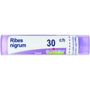 RIBES NIGRUM 30CH GRANULI 4G