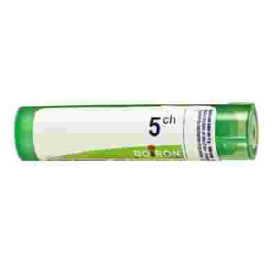 STREPTOCOCCINUM 5CH GRANULI 4G