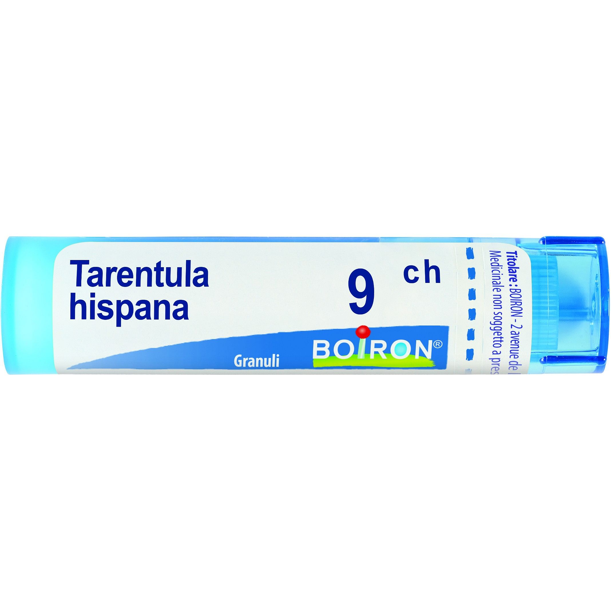 Tarentula Hispana 9 Ch Granuli 4 G