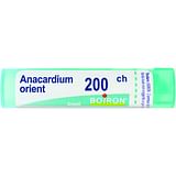 ANACARDIUM ORIENTALE 200CH GRANULI 4G