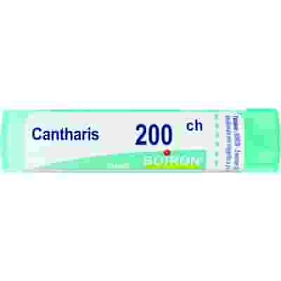 BOIRON CANTHARIS 200CH GRANULI