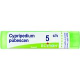 CYPRIPEDIUM PUBESCENS 5CH GRANULI 4G