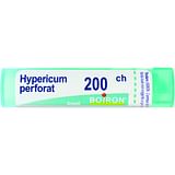 HYPERICUM PERFORATUM 200 CH GRANULI 4G