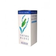 SABAL SERRULATA 60ML TINTURA MADRE