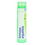 ECHINACEA ANGUST 4DH GRANULI 4G