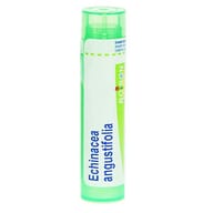 ECHINACEA ANGUST 4DH GRANULI 4G