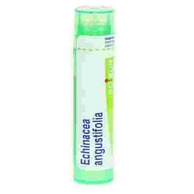 ECHINACEA ANGUST 4DH GRANULI 4G