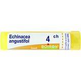 ECHINACEA ANGUSTIFOLIA 4 CH GRANULI 4G