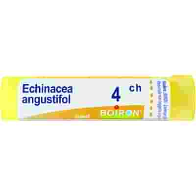 ECHINACEA ANGUSTIFOLIA 4 CH GRANULI 4G