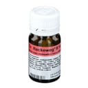 RECKEWEG R14 100 COMPRESSE