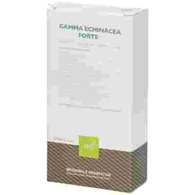GAMMA ECHINACEA FORTE COMPOSTO 20 FIALE FISIOLOGICHE 2ML