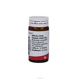 WALA SILICEA COMPOSITUM GLOBULI 20 G
