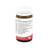 BRONCHI PLANTAGO COMP 20 G GLOBULI WALA