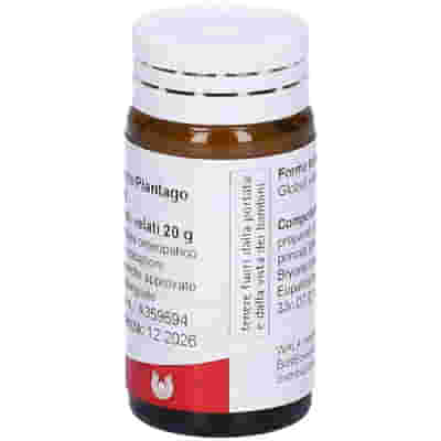 BRONCHI PLANTAGO COMP 20 G GLOBULI WALA