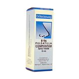 RECKEWEG R96 SPRAY NASALE 15 ML