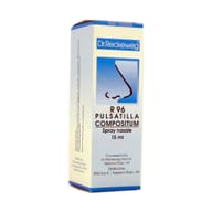 RECKEWEG R96 SPRAY NASALE 15 ML