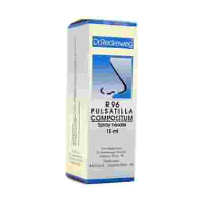 RECKEWEG R96 SPRAY NASALE 15 ML
