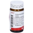 WALA CICHORIUM PANCREAS GLOBULI 20 G