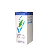 EQUISETUM ARVENSE TINTURA MADRE 30 ML