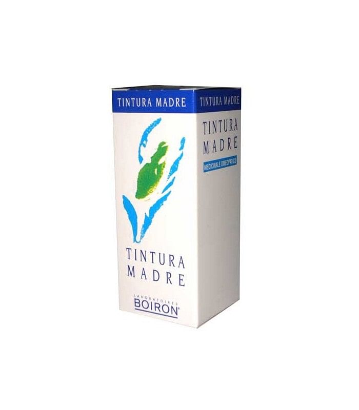 Ginkgo Biloba Tintura Madre 30 Ml