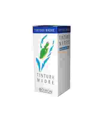 GINKGO BILOBA TINTURA MADRE 30ML