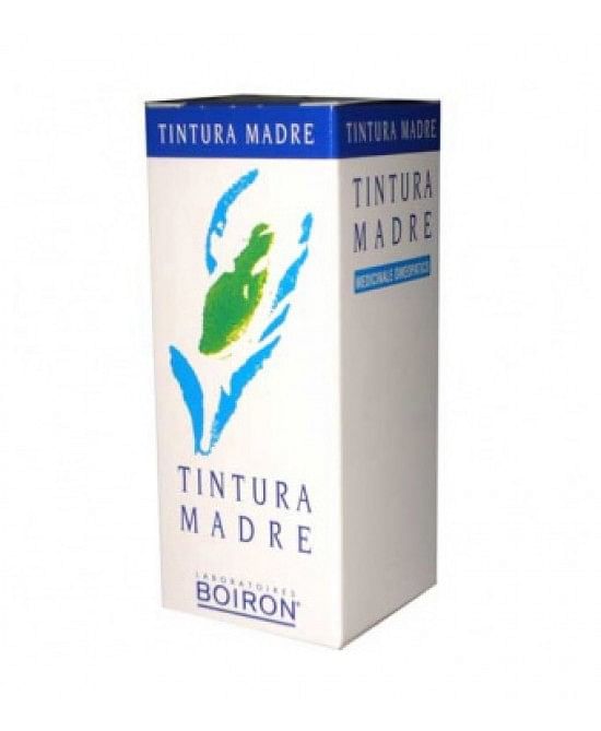 Rosmarinus Officinalis Tintura Madre (Hab) 30 Ml