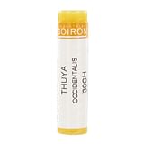 CEMON THUYA OCCIDENTALIS 18LM GOCCE 10 ML