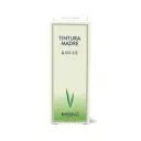 CYNARA SCOLYMUS TINTURA MADRE 125 ML