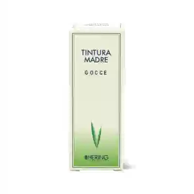 Tintura Madre Cynara Scolymus 125ml, soluzione idroalcolica