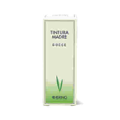 HAMAMELIS VIRGINIANA TINTURA MADRE 125 ML