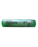 CARBO VEGETABILIS 5CH 70 GRANULI 3,5G
