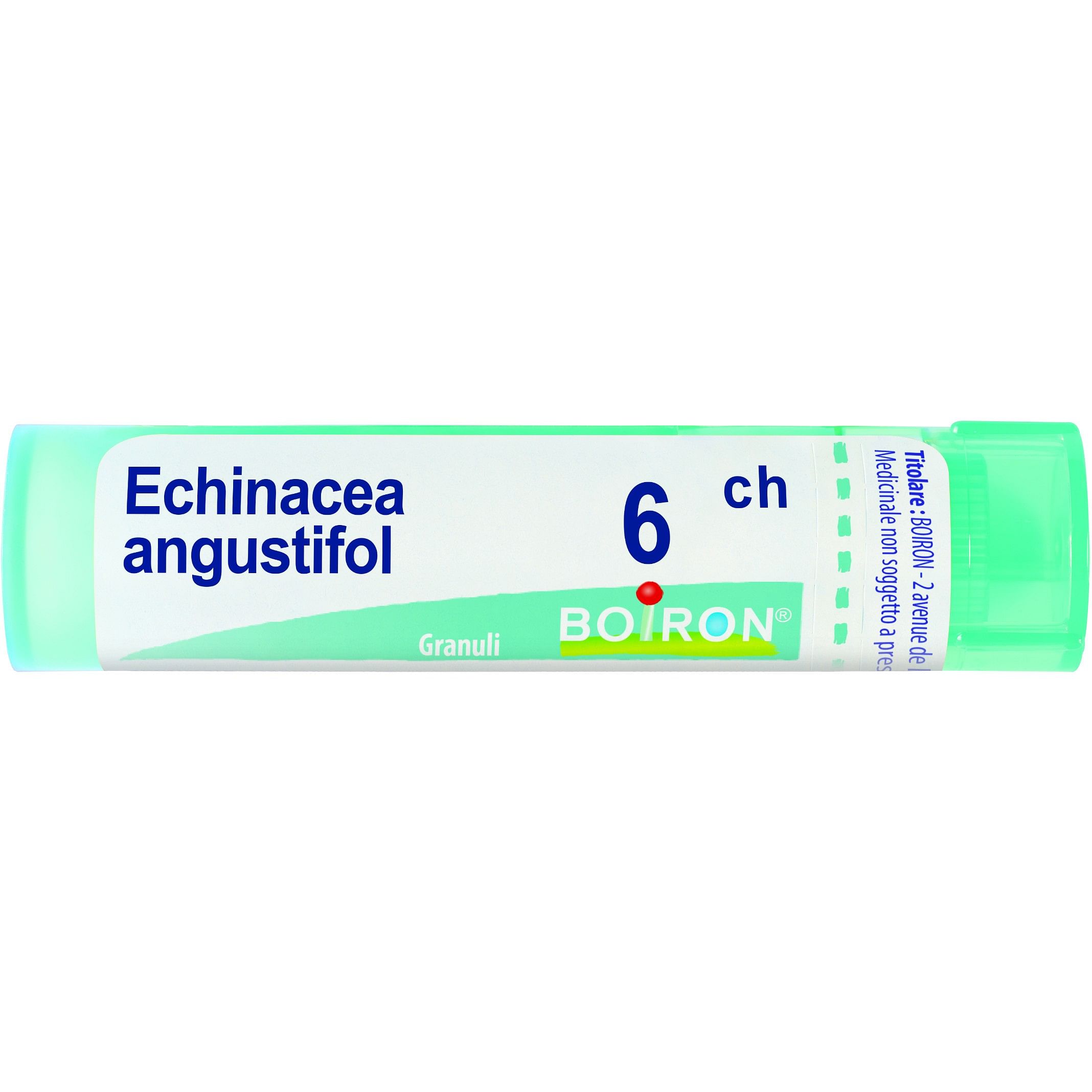 Echinacea Angust 6 Ch Granuli 4 G