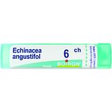 ECHINACEA ANGUST 6CH GRANULI 4G
