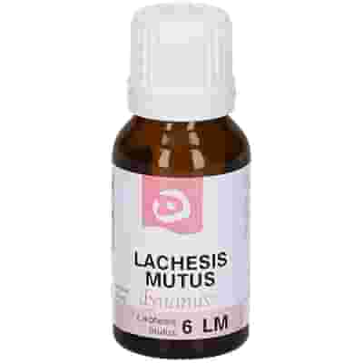 LACHESIS MUTUS 6LM GOCCE 10ML