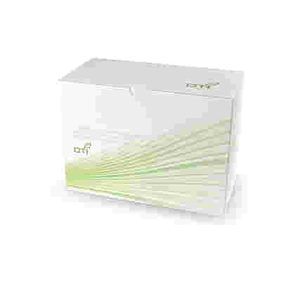 GAMMA BIO H COMPLEX COMPOSTO GOCCE 50 ML SOLUZIONE IDROALCOLICA